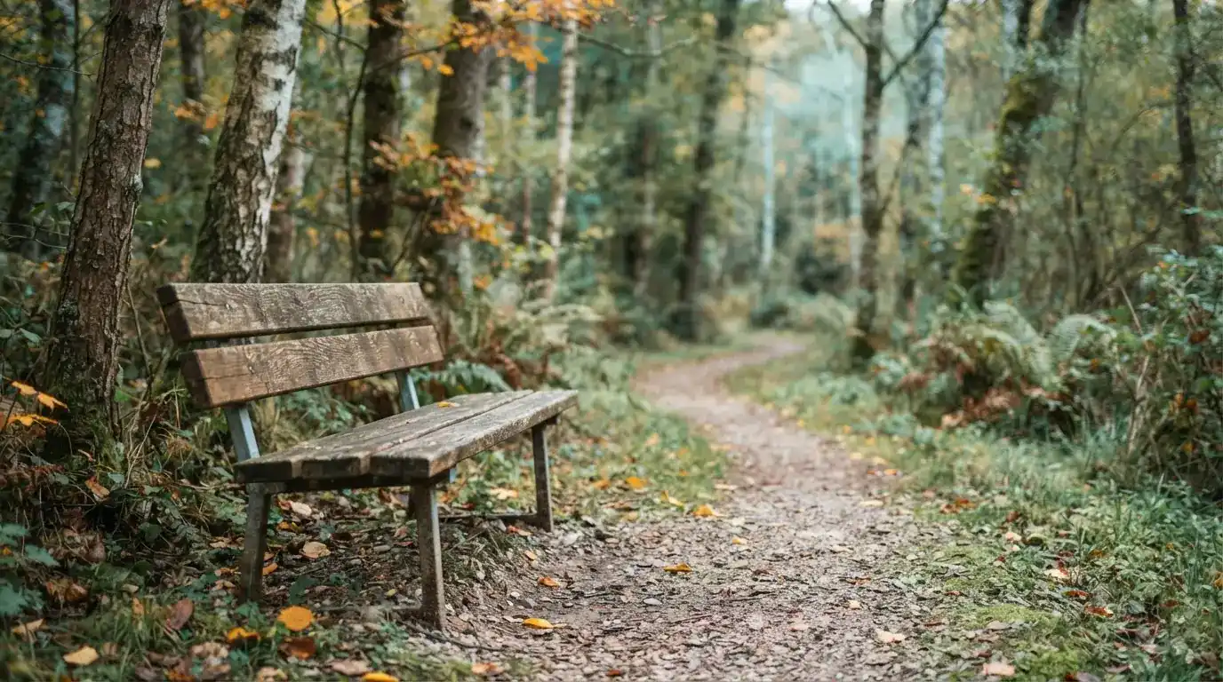 Ruhiger Weg mit Sitzbank im Wald